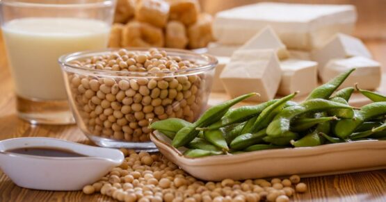 soy vegan