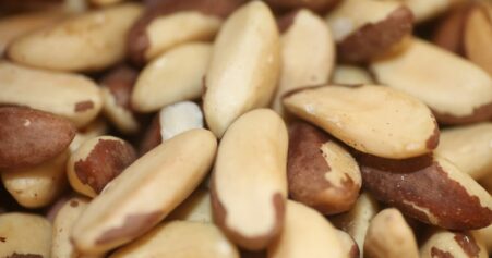 vegan selenium sources