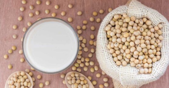 menopause - vegan diet