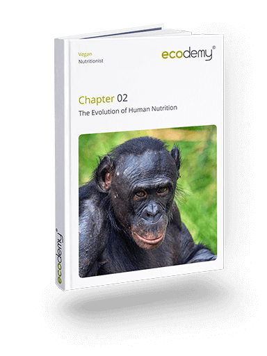 Vegan Nutritionist Certification Course by ecodemy Vegan Nutritionist Certification Course by ecodemy